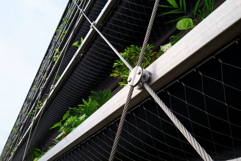 How to Transform Any Wall into a Green Oasis with Stainless Steel Suspension Systems